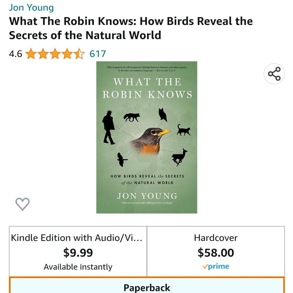 What The Robin Knows